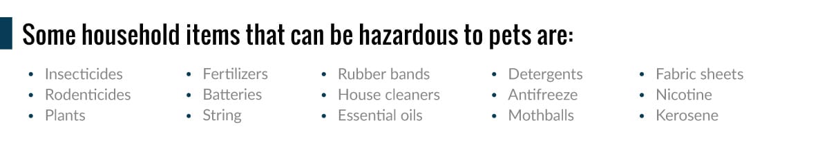 Hazardous household items