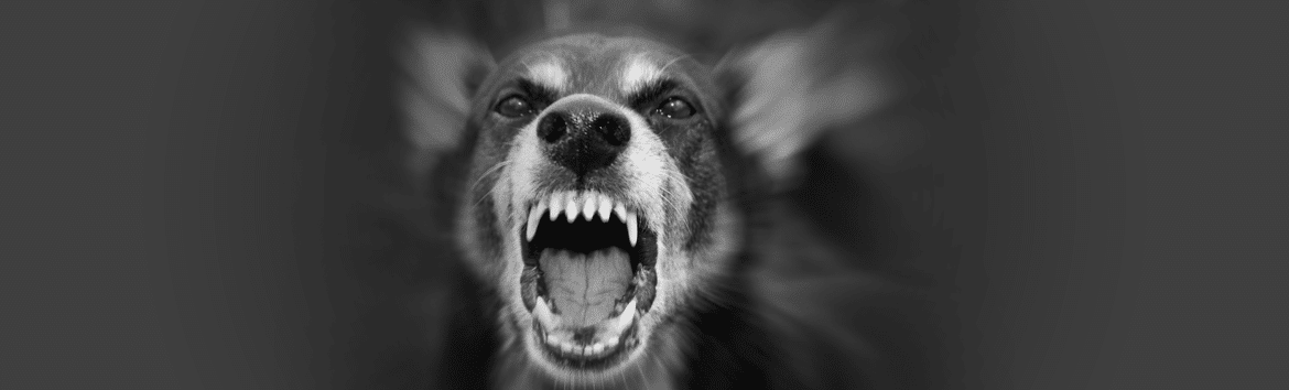 Rabies Miasm – Fact or Fiction?