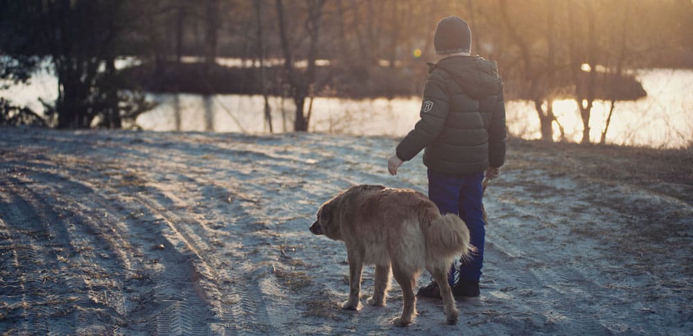 Boy and dog walking outside in winter.