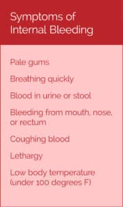 Symptoms of Internal Bleeding