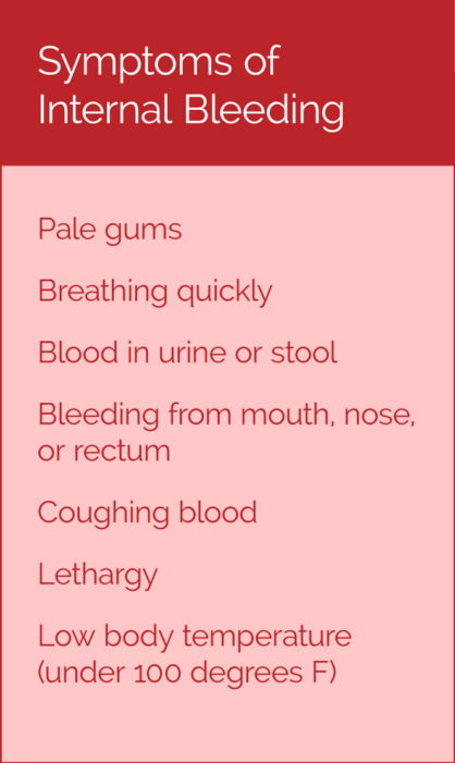Symptoms of Internal Bleeding