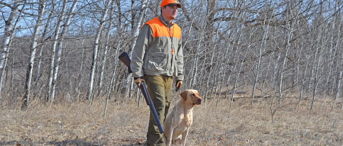 Hunter in field with gun and hunting dog
