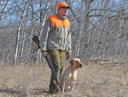 4 Tips for Hunting Dog Success