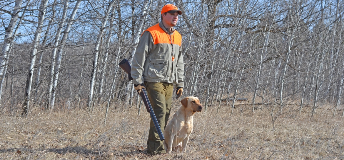 4 Tips for Hunting Dog Success
