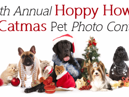How to Get Your Pet Howliday Photo Contest Ready