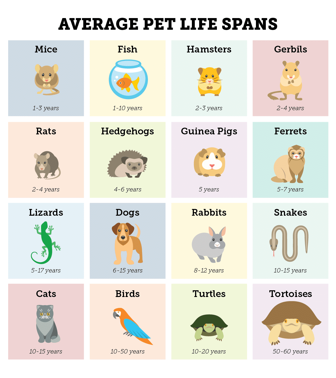 Average pet life span