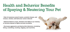 Health and behvior benefits of spaying and neutering