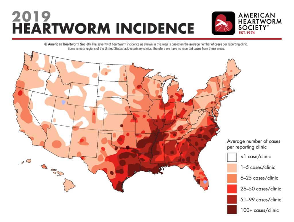 2019 Heartworm Incidence map