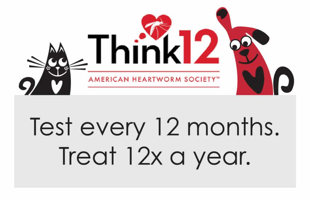 Think12: Test every 12 months. Treat 12x a year.