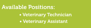 GVAH, Grand Valley Vet, Grand Valley Animal Hospital, Available Positions, Veterinary Technician, Veterinary Assistant