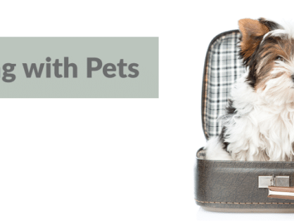 Be In the Know for Pets on the Go