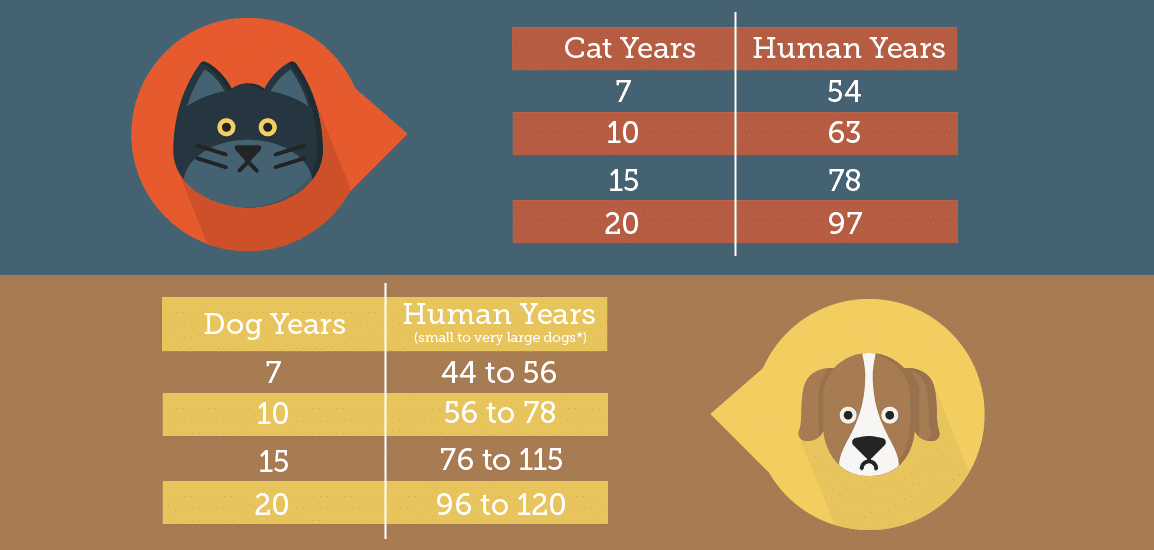 Estimated human age equivalents for older pets