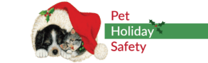 Pet Holiday Safety