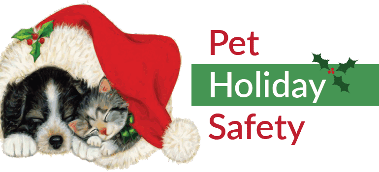 Pet Holiday Safety