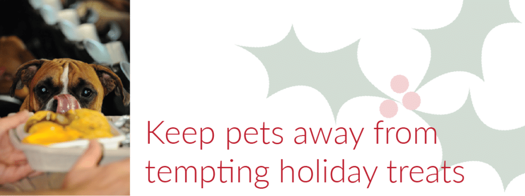 Keep pets away from tempting holiday food