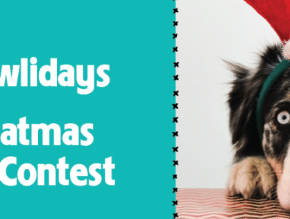 Sit, Stay, Snap – Holiday Pet Photo Contest