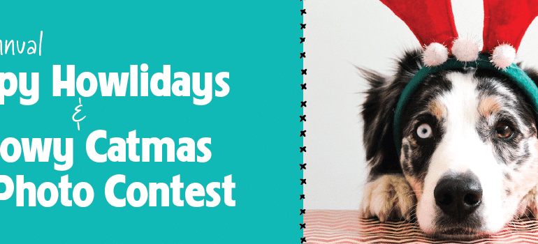 Pet Holiday Costume Photo Contest