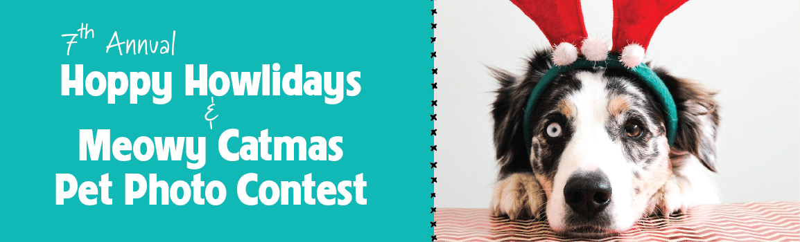 Sit, Stay, Snap – Holiday Pet Photo Contest