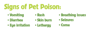 Signs of pet poison