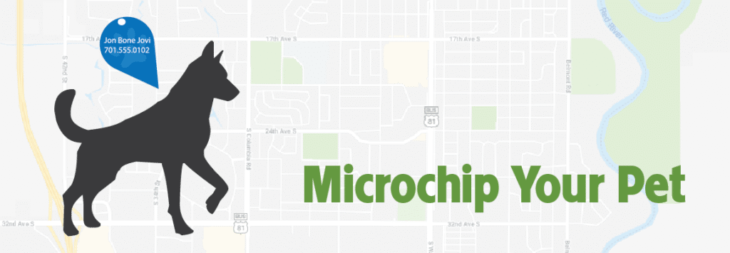 Microchip your pet