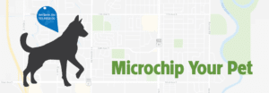 Microchip your pet