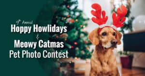 2019 Hoppy Howlidays & Meowy Catmas Pet Photo Contest