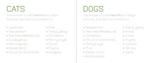 Lists of the oils harmful to cats and dogs.
