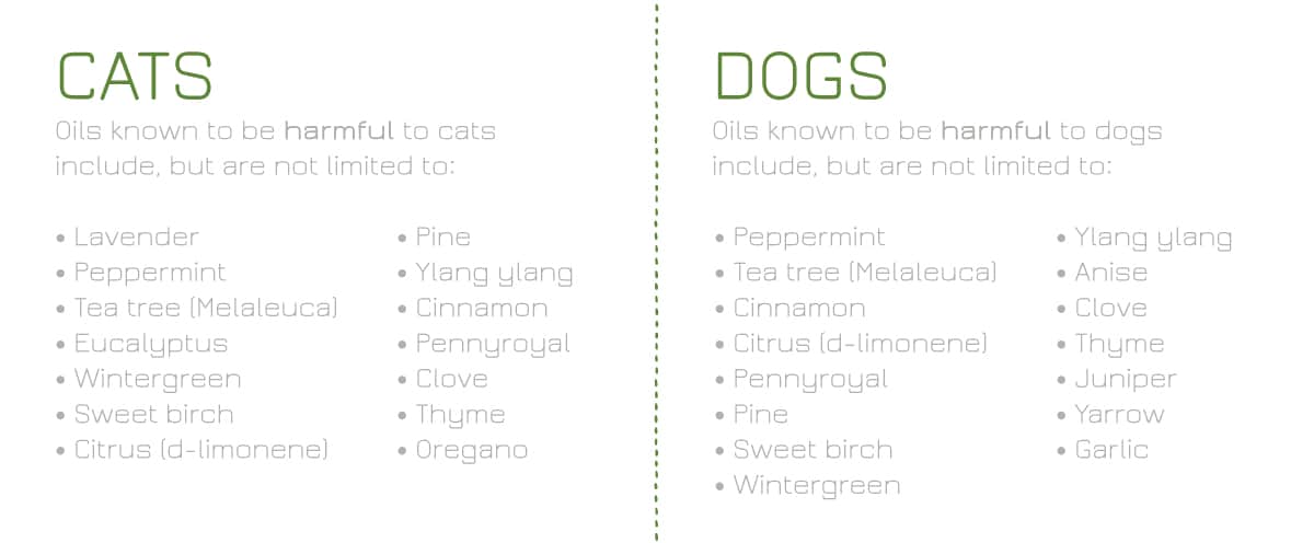 Lists of the oils harmful to cats and dogs.