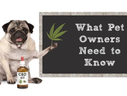 CBD Oil: What Pet Owners Need to Know