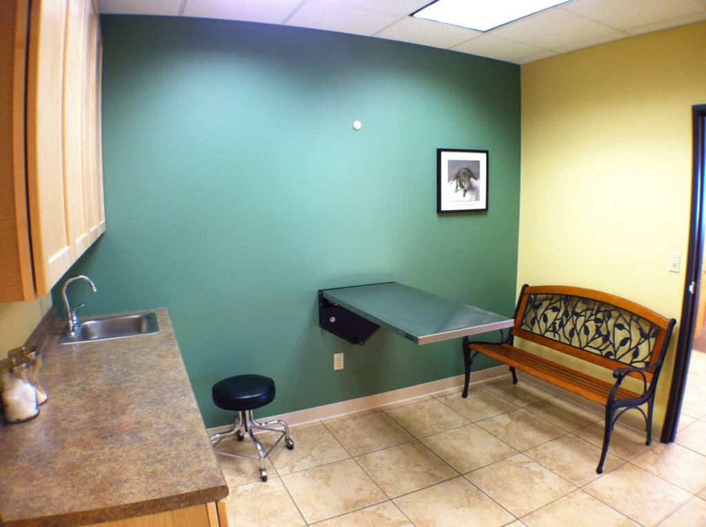 Grand Valley Animal Hospital exam room with green wall Grand Valley