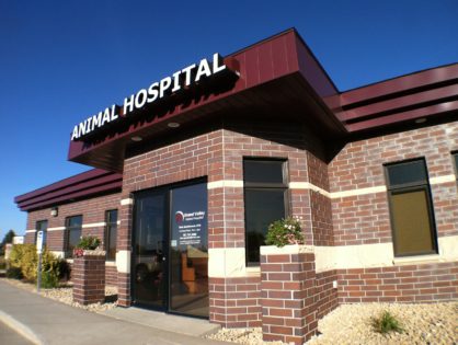Meet Grand Valley Animal Hospital Veterinarians | Grand Valley Animal  Hospital