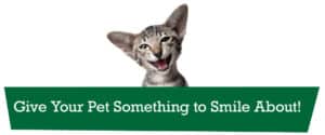 Give Your Pet Something to Smile About!