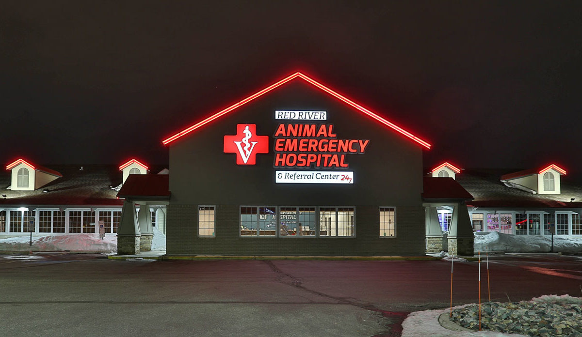 Emergency Care: Why We Refer to Red River Animal Emergency Hospital