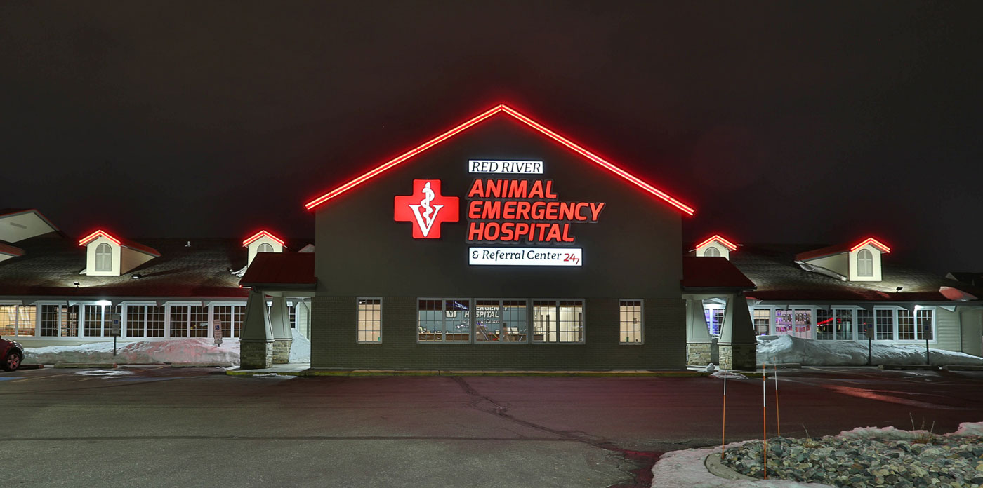 Emergency Care: Why We Refer to Red River Animal Emergency Hospital | Grand  Valley Animal Hospital
