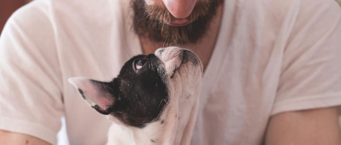 Small dog looking up at owner’s face.