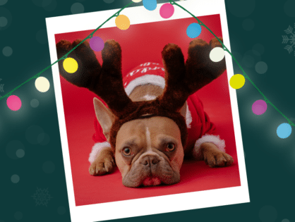 Sit, Stay, Snap: Enter Our Holiday Pet Photo Contest